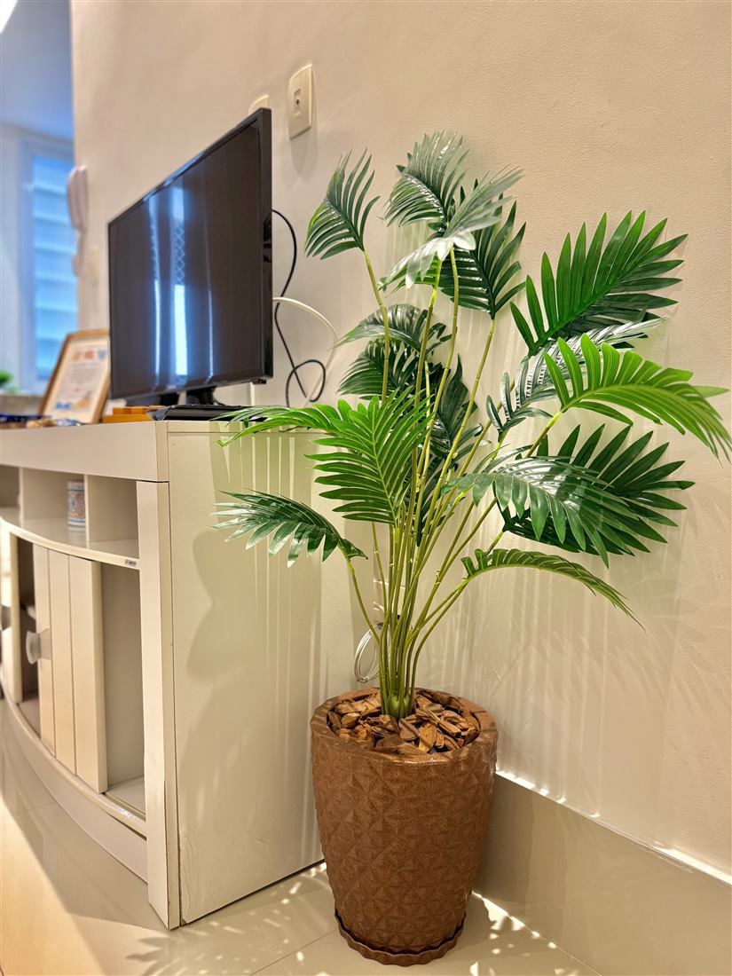 Detalhe adicional do apartamento